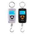 45kg x 10g High Precision LCD Portable Digital Backlight Electronic Portable Scale Random Color Delivery - Hanging Scales by PMC TechLife | Online Shopping South Africa | PMC TechLife | Buy Now Pay Later Mobicred