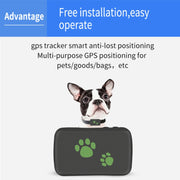 TK203 3G GPS / GPRS / GSM Personal / Goods /  Pet / Bag Locator Pet Collar Real-time Tracking Device