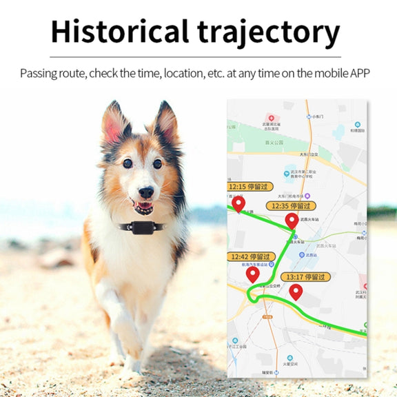 P03 2G Water-resistant Pet GPS Tracker GPS+AGPS+WiFi+LBS Locator