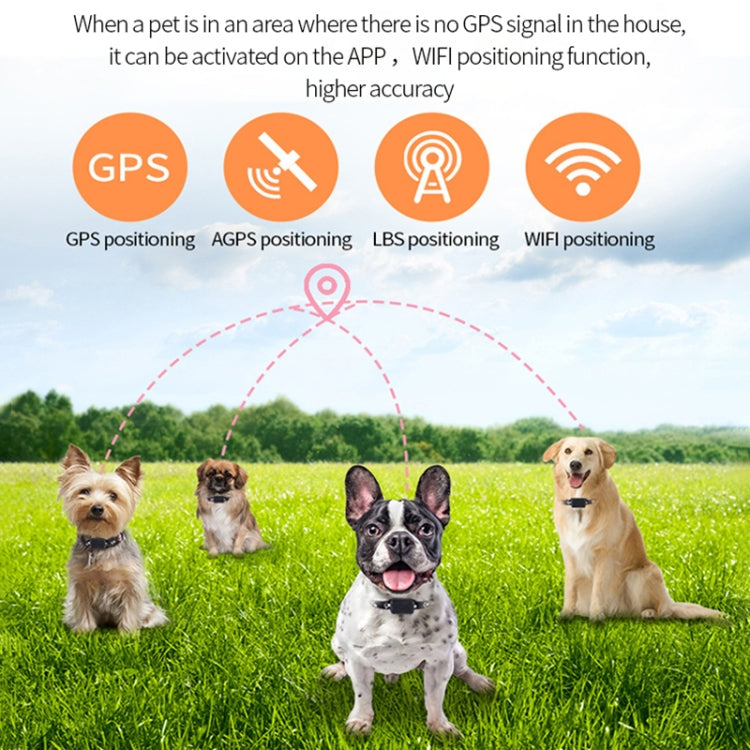 P03 2G Water-resistant Pet GPS Tracker GPS+AGPS+WiFi+LBS Locator