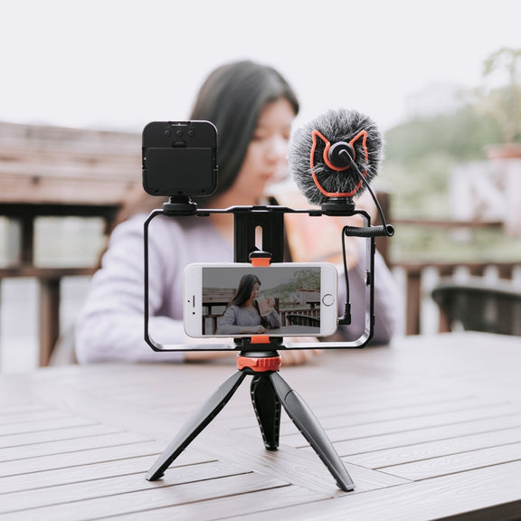 YELANGU PC204 YLG1801D Vlogging Live Broadcast LED Selfie Light Smartphone Video Rig Handle Stabilizer Bracket Kits with Microphone & Tripod