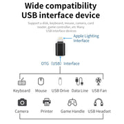 XQ-ZH001 USB Female to 8 Pin Male OTG Adapter(Silver)