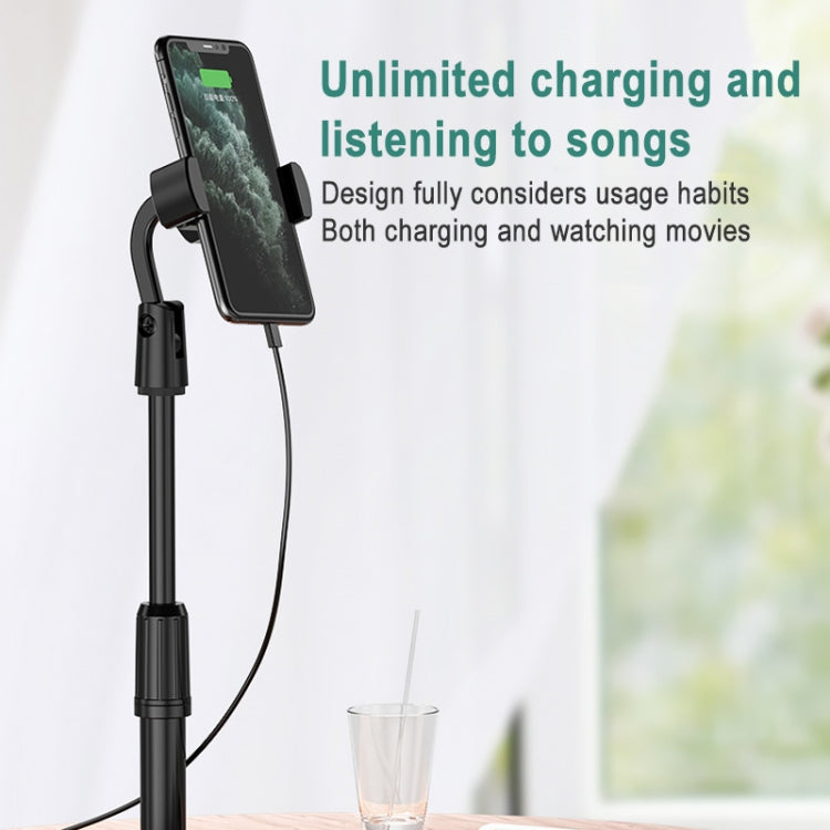 Desktop Stand Mobile Phone Tablet Live Broadcast Stand Telescopic Disc Stand, Style:Holder + Remote Control(Black)