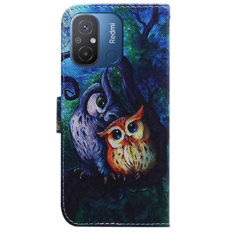 For Xiaomi Redmi 12C / 11A Coloured Drawing Flip Leather Phone Case(Oil Painting Owl)