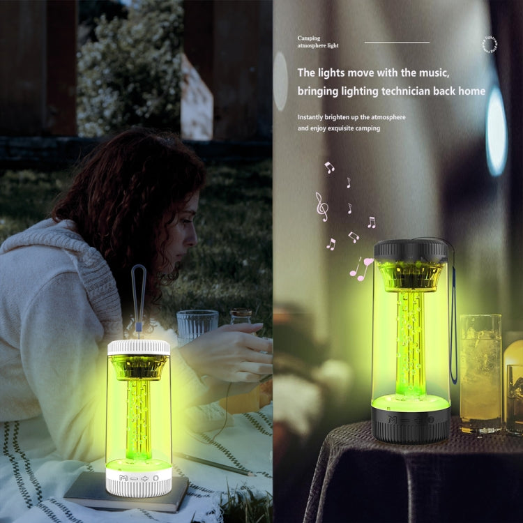 Z15 Portable RGB Atmosphere Light Outdoor Wireless Bluetooth Speaker(Black)