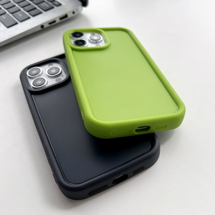 For iPhone 13 Pro Max Shockproof Frame Frosted TPU Phone Case(Black)