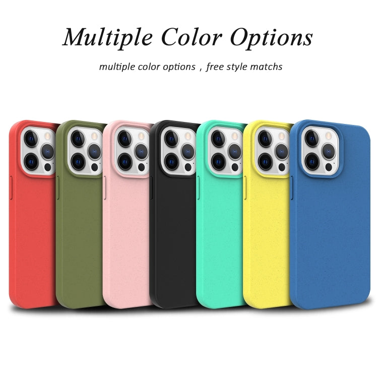 For iPhone 15 Pro Starry Series Shockproof Straw Material + TPU Protective Case(Blue)