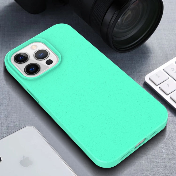 For iPhone 15 Pro Starry Series Shockproof Straw Material + TPU Protective Case(Blue)