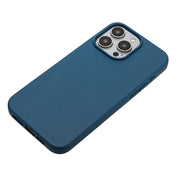 For iPhone 13 Pro Wheat MagSafe Magnetic Straw Material + TPU Phone Case(Blue)