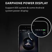 F910 Bluetooth 5.0 Hanging Ear Style Dual Mic Noise Cancelling Bluetooth Earphone(Black)