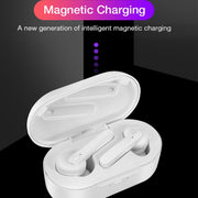 DT-5 IPX Water-resistant Bluetooth 5.0 Wireless Bluetooth Earphone with Magnetic Charging Box, Support Call & Power Bank Function(Green)