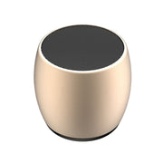 SARDiNE F1 Aluminium Alloy Stereo Wireless Bluetooth Speaker with Charging Dock, Support Hands-free(Gold)