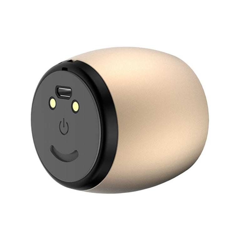 SARDiNE F1 Aluminium Alloy Stereo Wireless Bluetooth Speaker with Charging Dock, Support Hands-free(Gold)