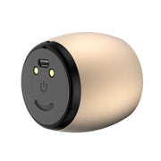 SARDiNE F1 Aluminium Alloy Stereo Wireless Bluetooth Speaker with Charging Dock, Support Hands-free(Gold)