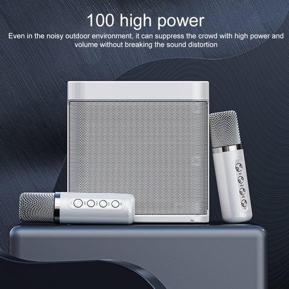 YS-203 Bluetooth Karaoke Speaker Wireless Microphone(Silver)
