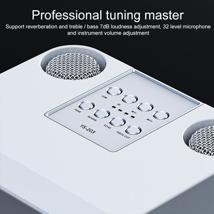 YS-203 Bluetooth Karaoke Speaker Wireless Microphone(Black)
