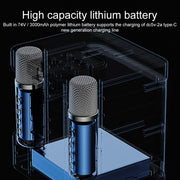YS-203 Bluetooth Karaoke Speaker Wireless Microphone(Silver)