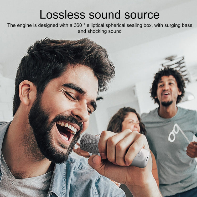 YS-203 Bluetooth Karaoke Speaker Wireless Microphone(Black)