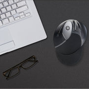 DELUX M618GX Wireless Ergonomic Vertical Mouse 1600DPI Optical Mouse