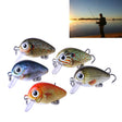 HENGJIA 5 PCS 2.7cm/1.5g Luya Rock Fishing Lures Bait Bionic Kit with Plastic Box - Fishing Lures by HENGJIA | Online Shopping South Africa | PMC TechLife | Buy Now Pay Later Mobicred