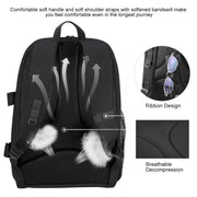 PULUZ Outdoor Portable Water-resistant Scratch-proof Dual Shoulders Backpack Handheld PTZ Stabilizer Camera Bag with Rain Cover for Digital Camera, DJI Ronin-SC / Ronin-S(Black)