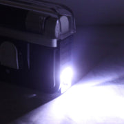 Handheld Blacklight UV Lamp & LED Flashlight, Verify Hidden Security Features On banknotes and Passport(Black)