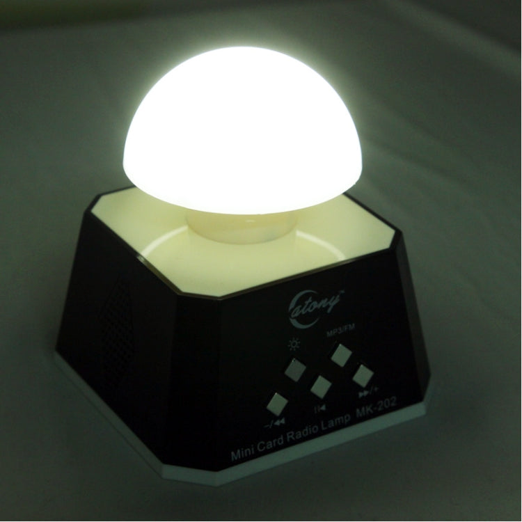 CT-0019 Multi LED Lights Speaker with FM Radio, Support TF Card(Black)