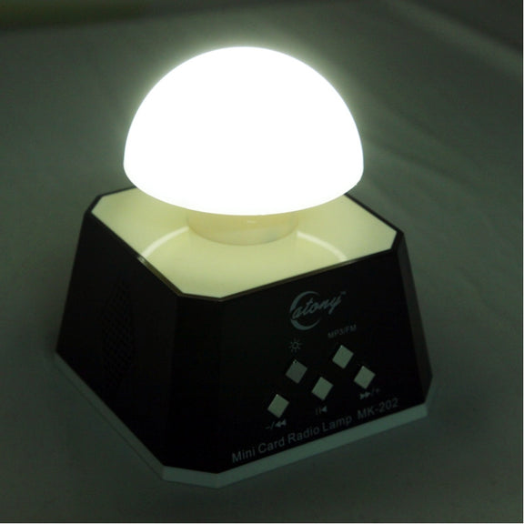 CT-0019 Multi LED Lights Speaker with FM Radio, Support TF Card(Black)