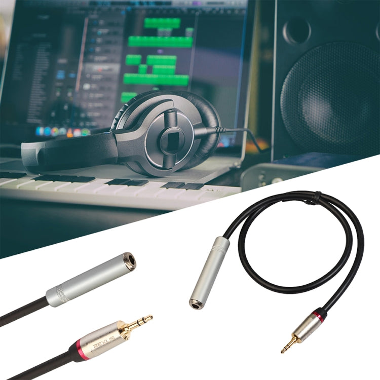 REXLIS TC128MF 3.5mm Male to 6.5mm Female Audio Adapter Cable, Length: 1m