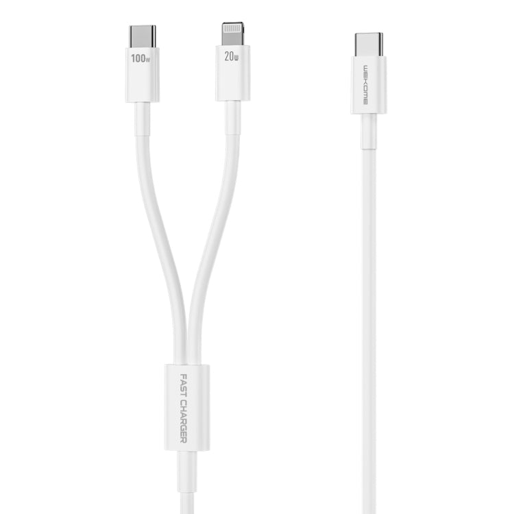 WK WDC-176 100W 2 in 1 USB-C/Type-C to USB-C/Type-C+8 Pin Multifunctional Fast Charging Data Cable,Length: 1.2m