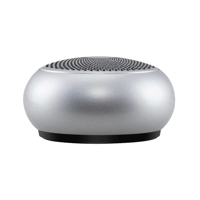 EWA A110 IPX5 Water-resistant Portable Mini Metal Wireless Bluetooth Speaker Supports 3.5mm Audio & 32GB TF Card & Calls(Silver)
