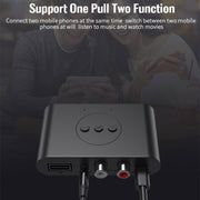 B21 Bluetooth 5.0 Audio Receiver AUX RCA Output U-disk Playback