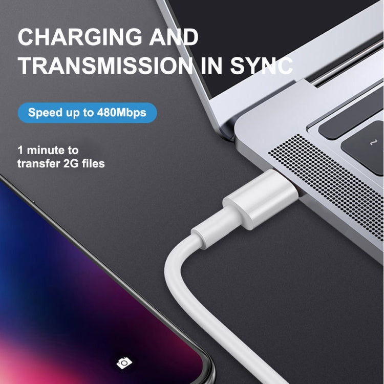 1m PD20W USB-C / Type-C to 8 Pin PD Fast Charging Sync Data Cable for iPhone 13 / 12 Series