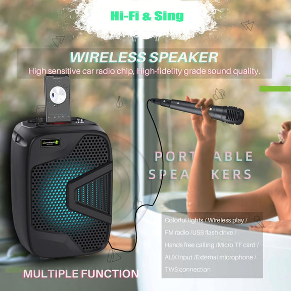 NewRixing NRG501B Outdoor Karaoke Wireless Speaker High-Power Audio Amplifier With Mic