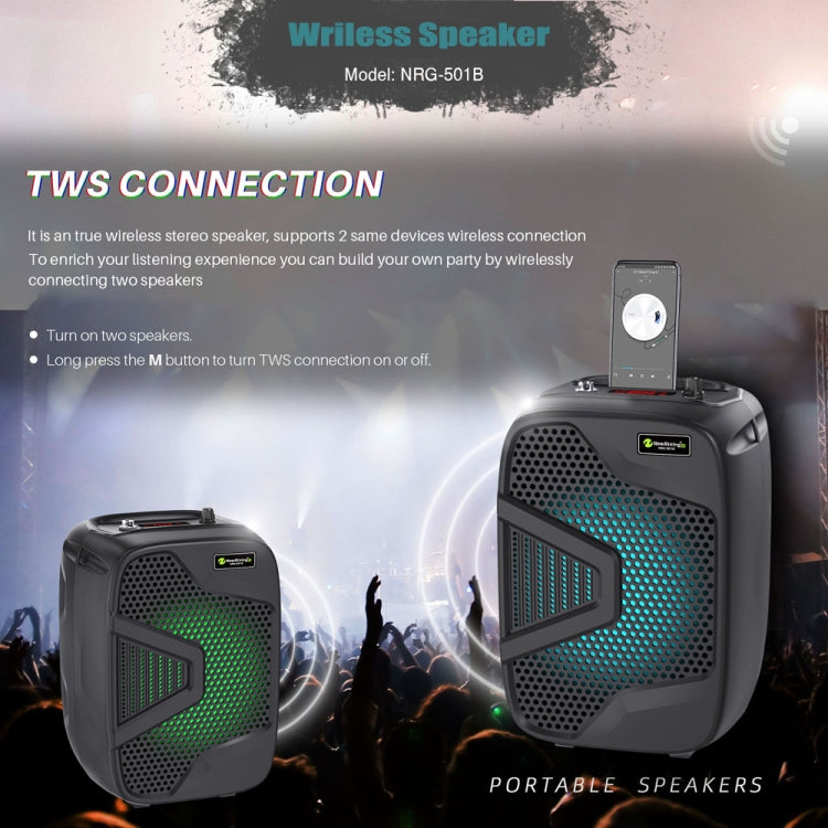 NewRixing NRG501B Outdoor Karaoke Wireless Speaker High-Power Audio Amplifier With Mic