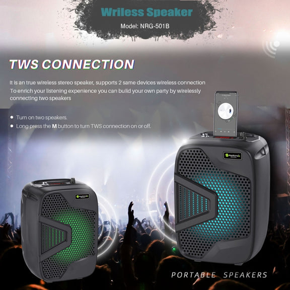 NewRixing NRG501B Outdoor Karaoke Wireless Speaker High-Power Audio Amplifier With Mic