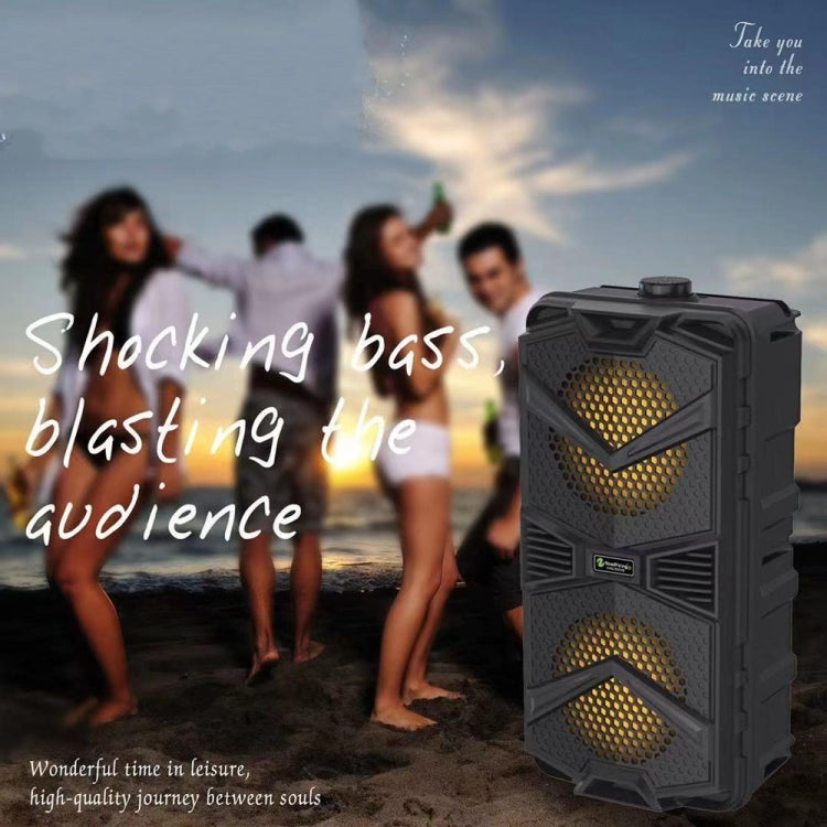 NewRixing NRG5501B Outdoor Portable Karaoke Wireless Speaker 16W Audio Amplifier with Mic