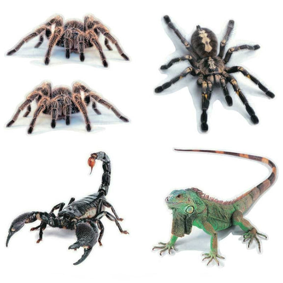 Creative Personality Scratch Cover  Car Body Sticker(Black Spider)