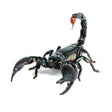 Creative Personality Scratch Cover  Car Body Sticker(Scorpion) - 3D Creative Stickers by PMC TechLife | Online Shopping South Africa | PMC TechLife | Buy Now Pay Later Mobicred