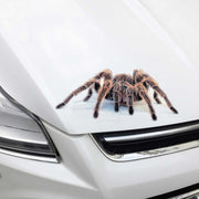 Creative Personality Scratch Cover  Car Body Sticker(Scorpion)