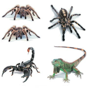 Creative Personality Scratch Cover  Car Body Sticker(Scorpion)