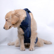 Pet Leash Senior Dogs Walking Aids Chest Harness, Size: XS(Dark Blue)