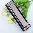 Swan 10 Holes Full-scale Bruce Harmonica Beginner Children Adult Students Playing Musical Instruments - Wind Instruments by PMC TechLife | Online Shopping South Africa | PMC TechLife