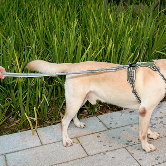 Dog Outdoor Anti-Scourge Traction Rope Nylon Reflective Elastic Stretch Dog Walking Rope( Green)