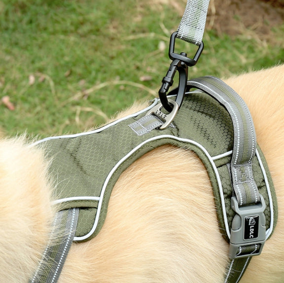 Dog Outdoor Anti-Scourge Traction Rope Nylon Reflective Elastic Stretch Dog Walking Rope( Green)