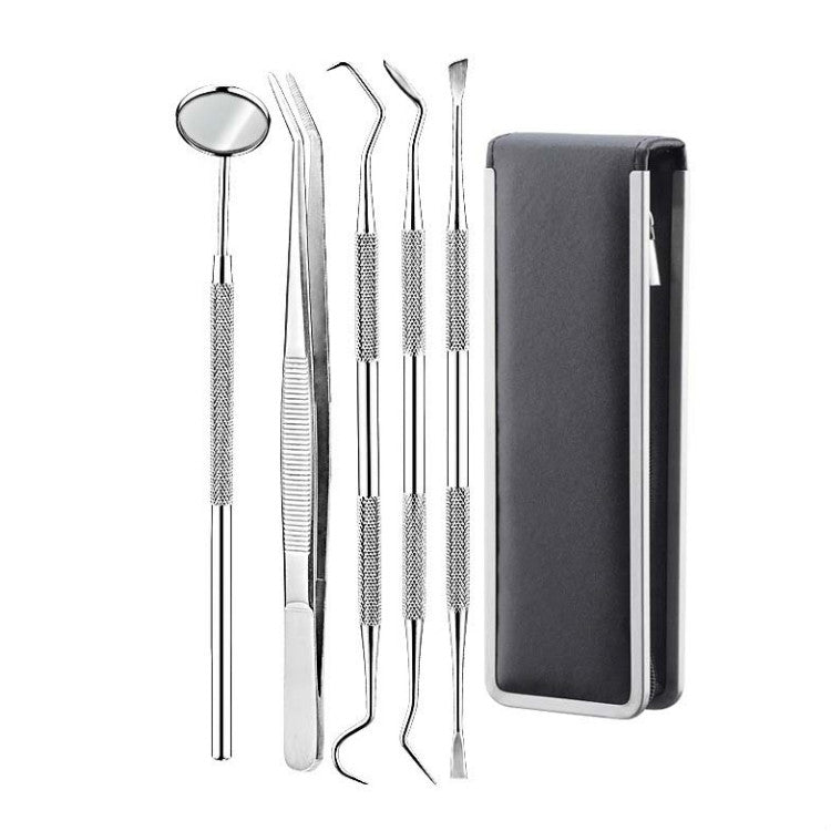 5 in 1 Steel Side Leather Case Stainless Steel Dental Tools Dental Care Tartar Tool Dentist Tool Set