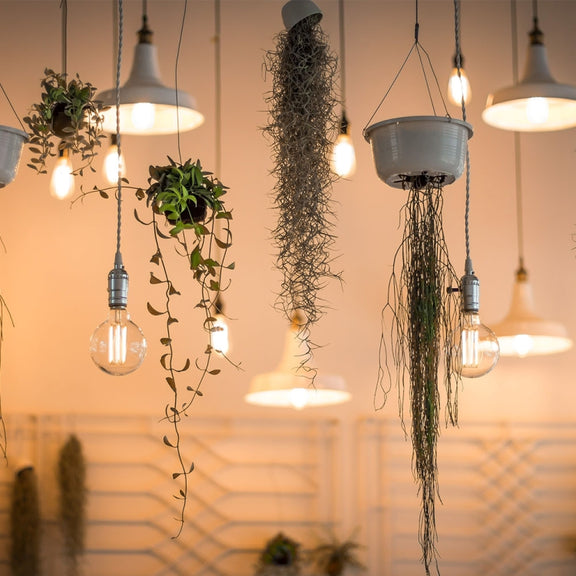 E27 40W Retro Edison Light Bulb Filament Vintage Ampoule Incandescent Bulb, AC 220V(ST64 Christmas tree)