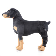 HJ19 Pet Surgery Rehabilitation Back Leg Protector Walking Aids, Size: M(Black Left Back Leg)