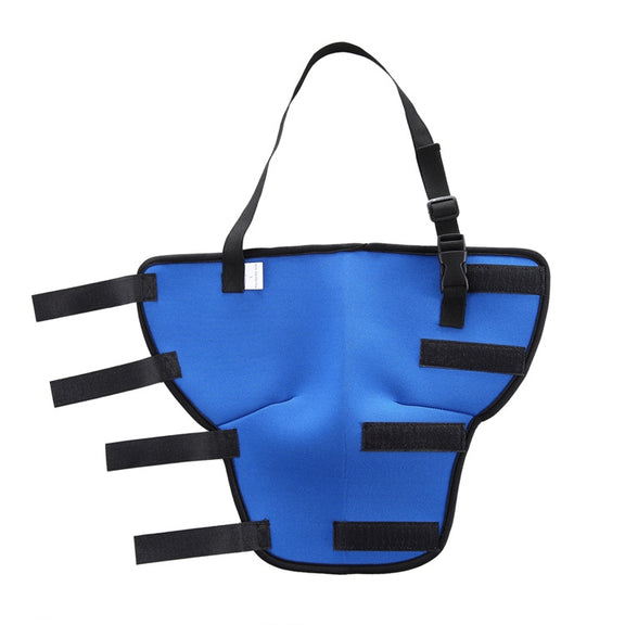HJ19 Pet Surgery Rehabilitation Back Leg Protector Walking Aids, Size: M(Blue Right Back Leg)