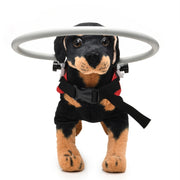 Dog Blindness Anti-Collision Ring Animal Protection Ring Cover Guide Ring, Specification: S(Red)
